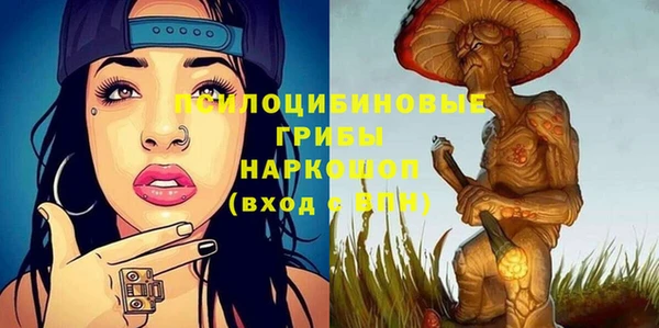 гидропоника Аркадак