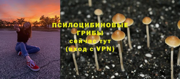 СК Арсеньев
