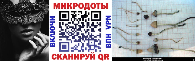 сайты даркнета наркотические препараты  Острогожск  Галлюциногенные грибы мицелий 